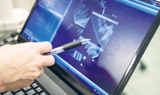 Dental Xray of animal