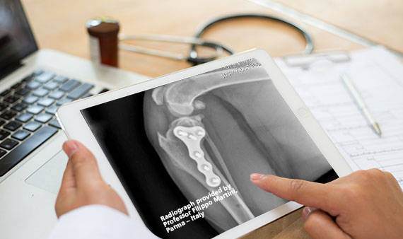 Doctor's hand pointing at an x-ray on a mobile tablet