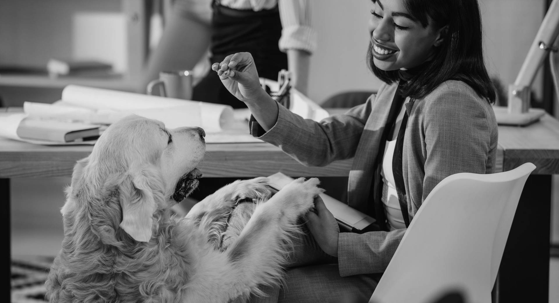 Our Story Securos Surgical