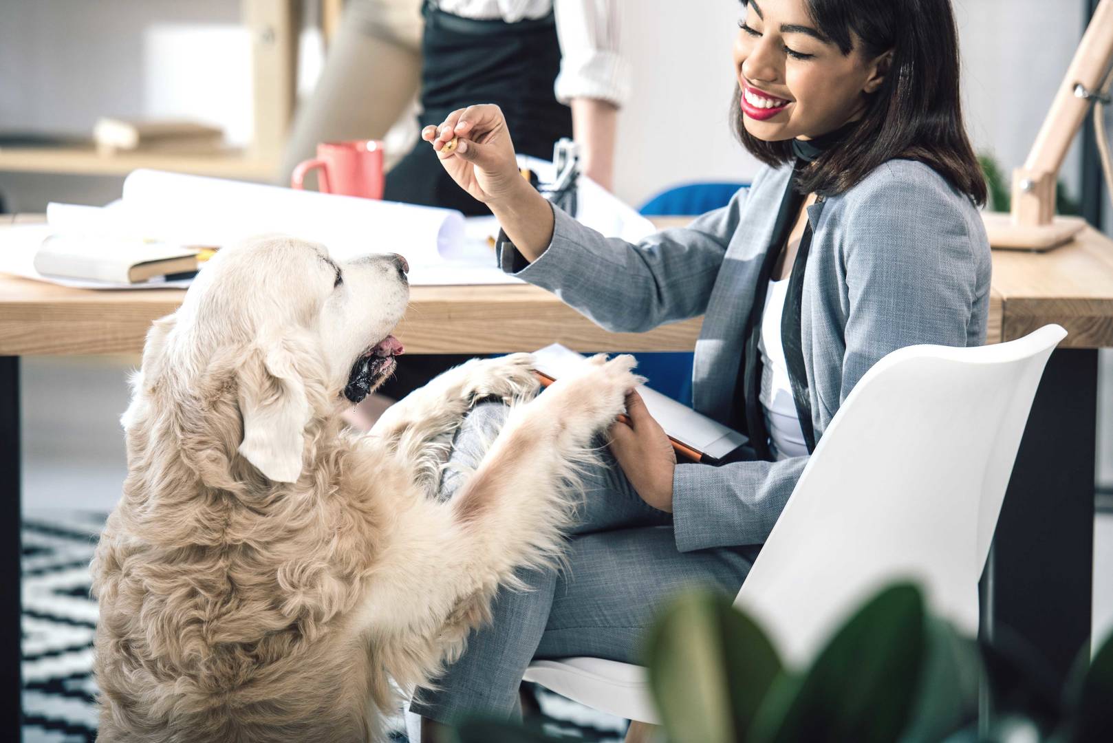 woman giving treat to office dog