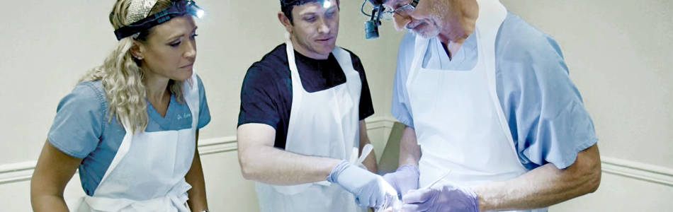 veterinarian surgeon teaching students