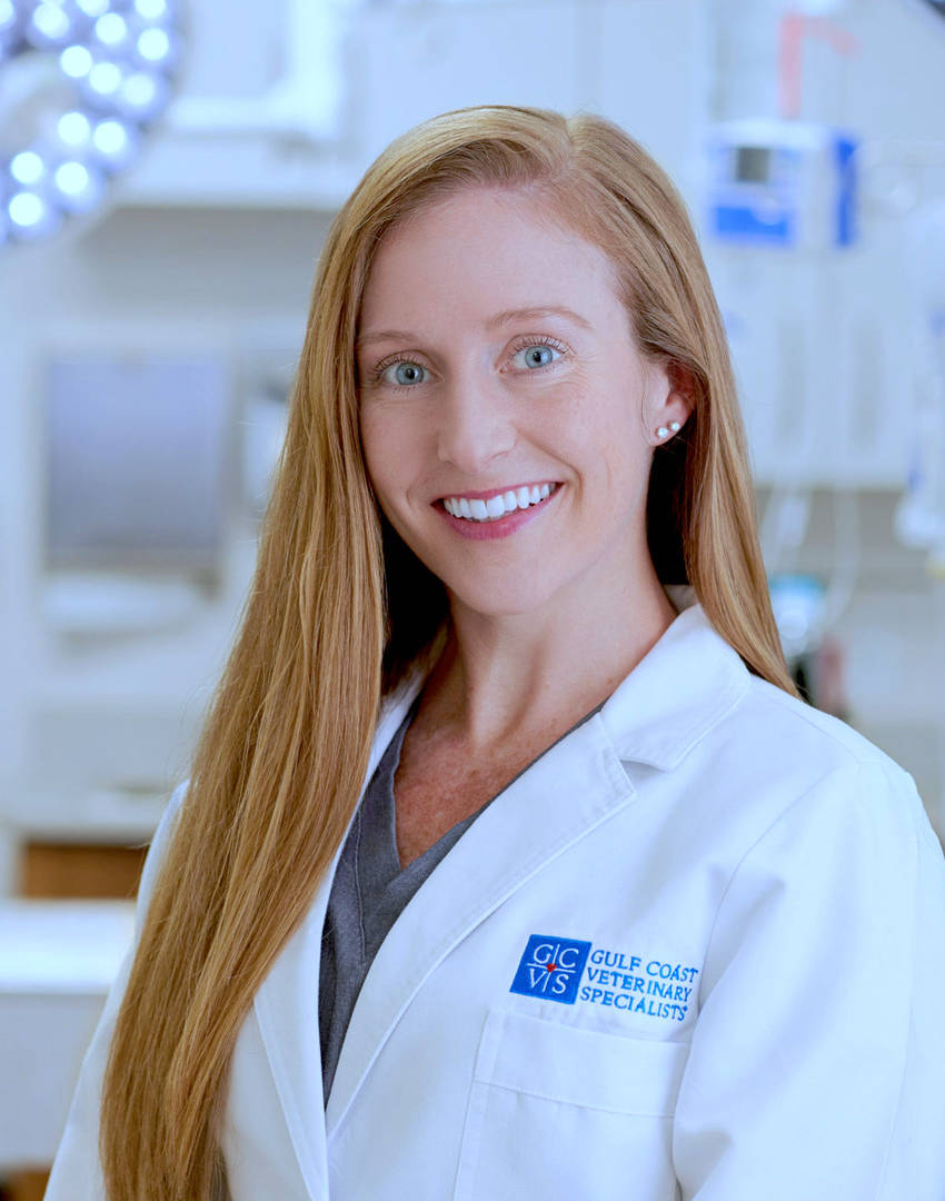 Kristin A. Coleman, DVM, MS, DACVS