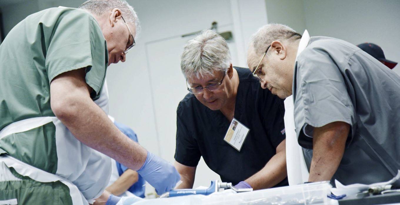 group of veterinarian surgeons